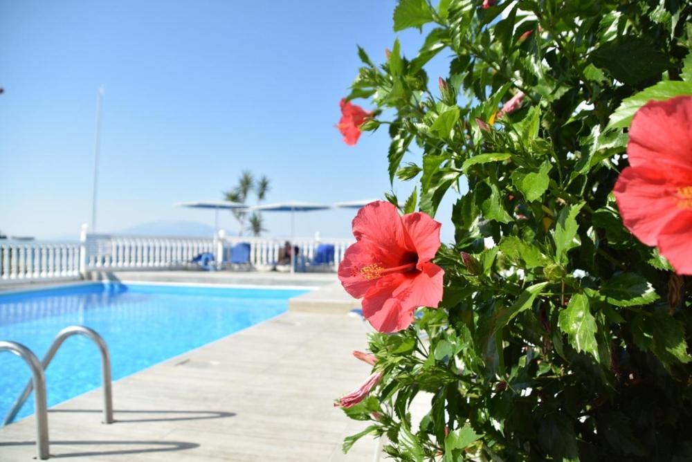 Clear Horizon Lejlighedshotel Amoudi Eksteriør billede
